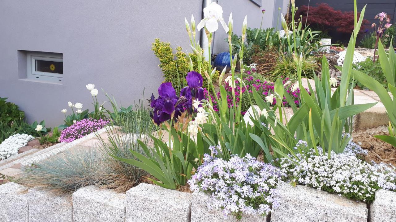 Gite Terre D'Helene 4 A 5 Pers Proche Strasbourg 42 M2, 3 Etoiles, Wifi, Paisible, Jardin, Proche Commerces,16 Atouts, Animaux Acceptes Berstett Exterior foto