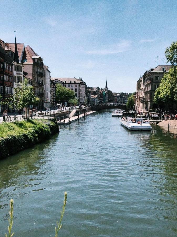 Gite Terre D'Helene 4 A 5 Pers Proche Strasbourg 42 M2, 3 Etoiles, Wifi, Paisible, Jardin, Proche Commerces,16 Atouts, Animaux Acceptes Berstett Exterior foto